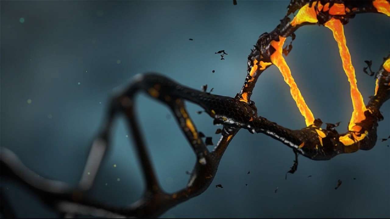 dna india