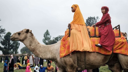 Girls take a camel walk after Eid al-Fitr prayer in Kenya