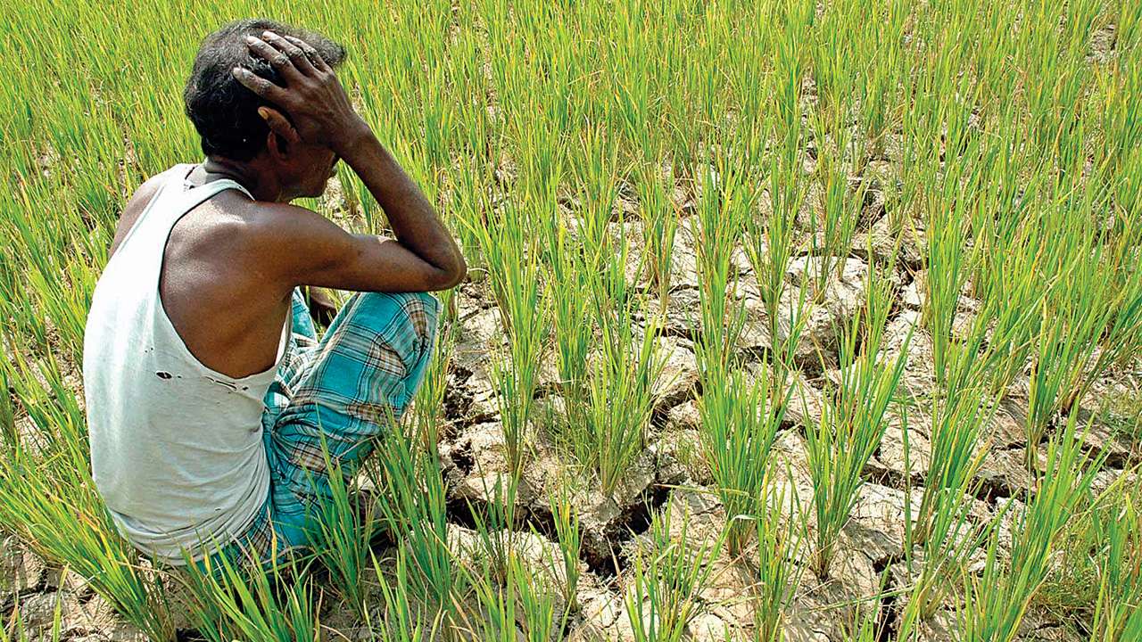 Maharashtra: Delayed monsoons have farmers worried, only 2% fields sowed