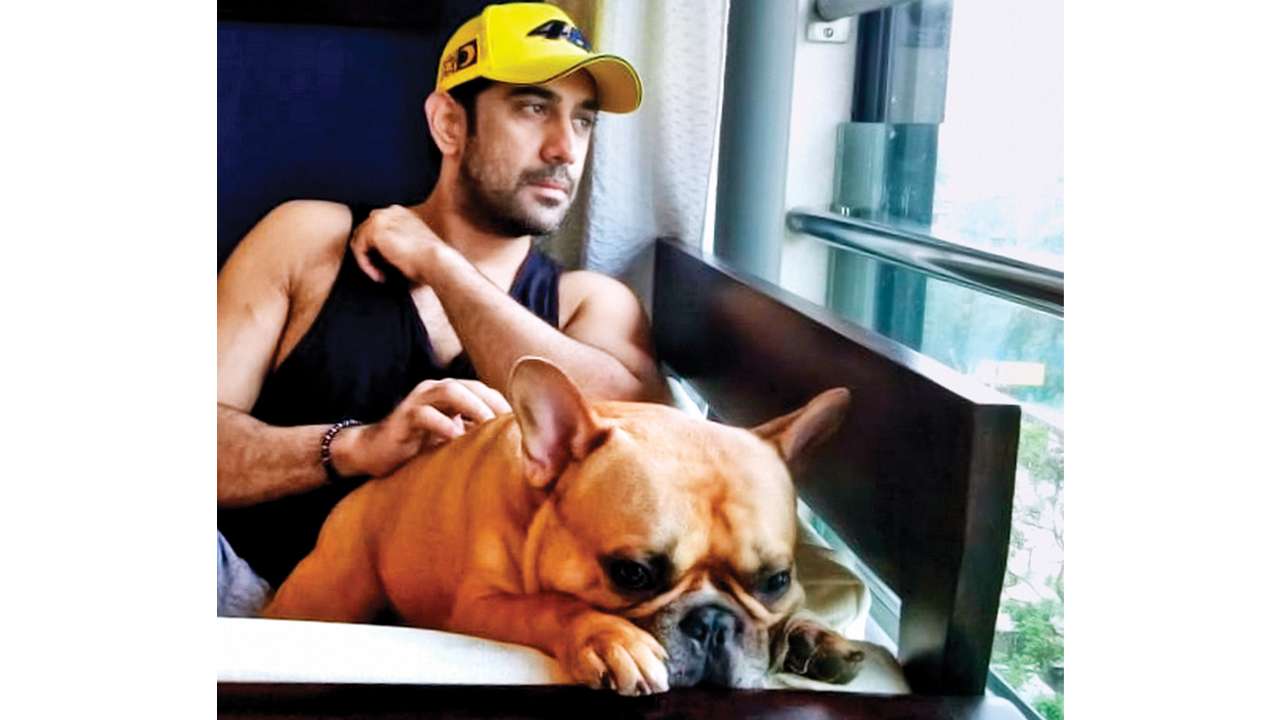 Amit Sadh’s pet dogs are his children