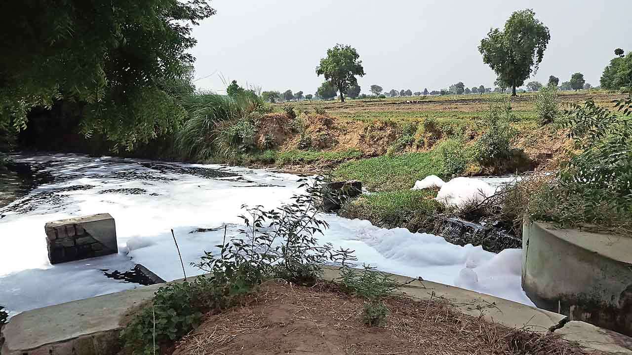 health concerns for human consumption regarding sewage in irrigation water