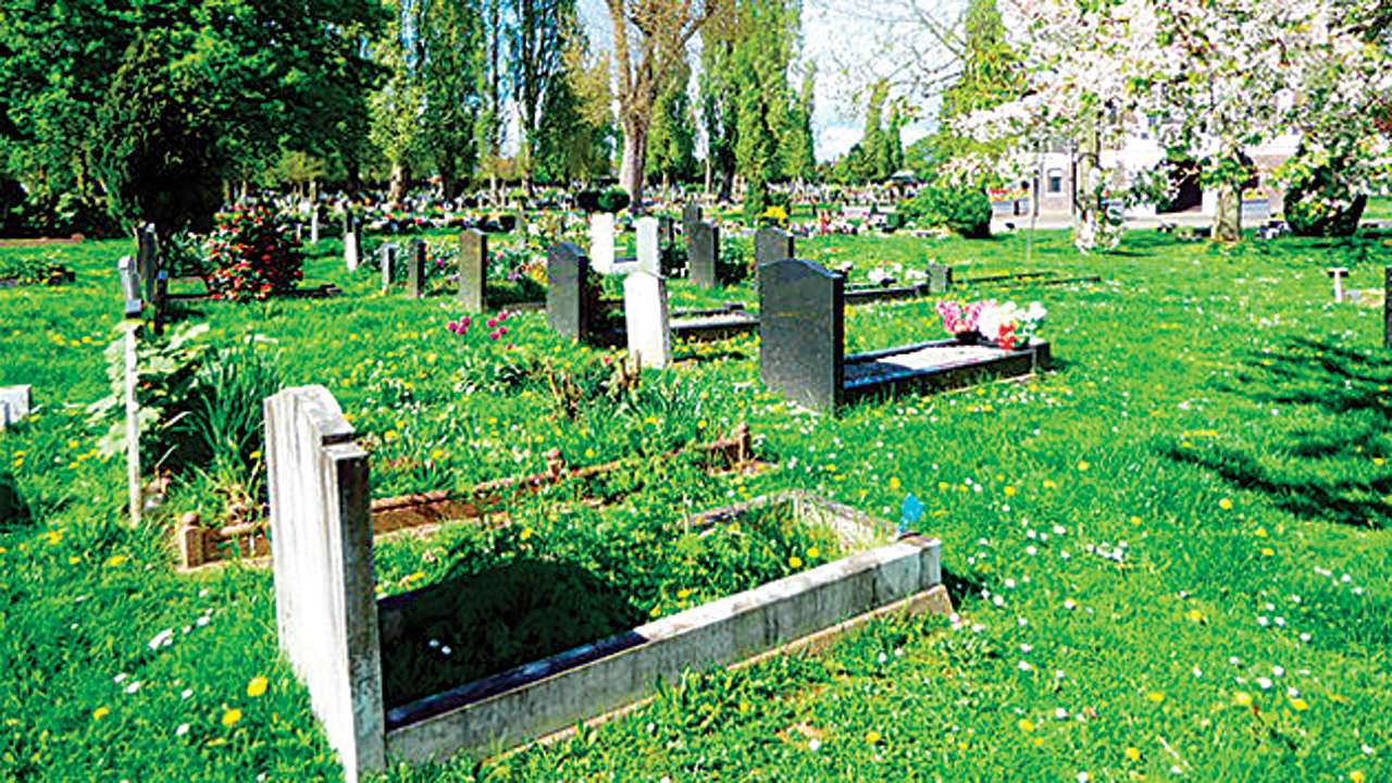 consider-burial-ground-shifting-bombay-high-court-tells-khoja-community