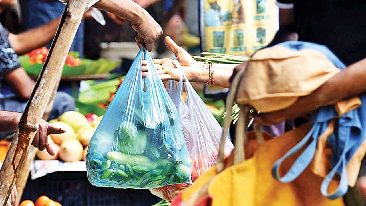 Nyc ban on plastic bags picture