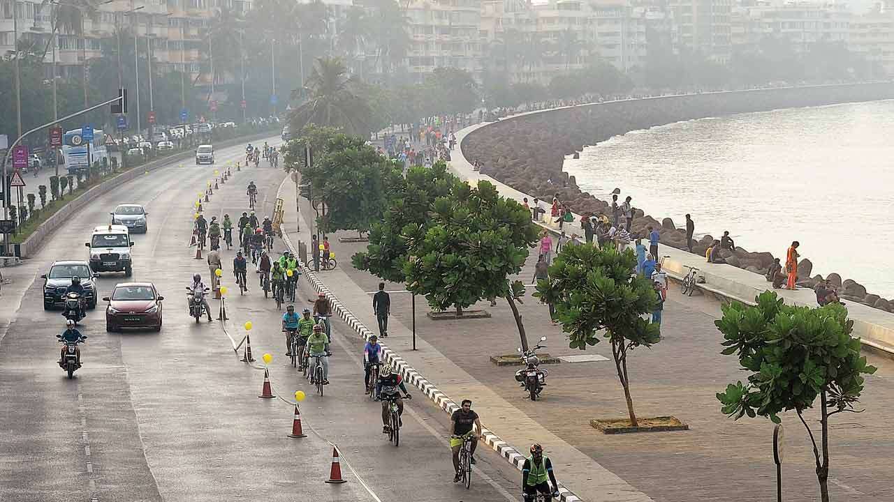 bmo marine drive