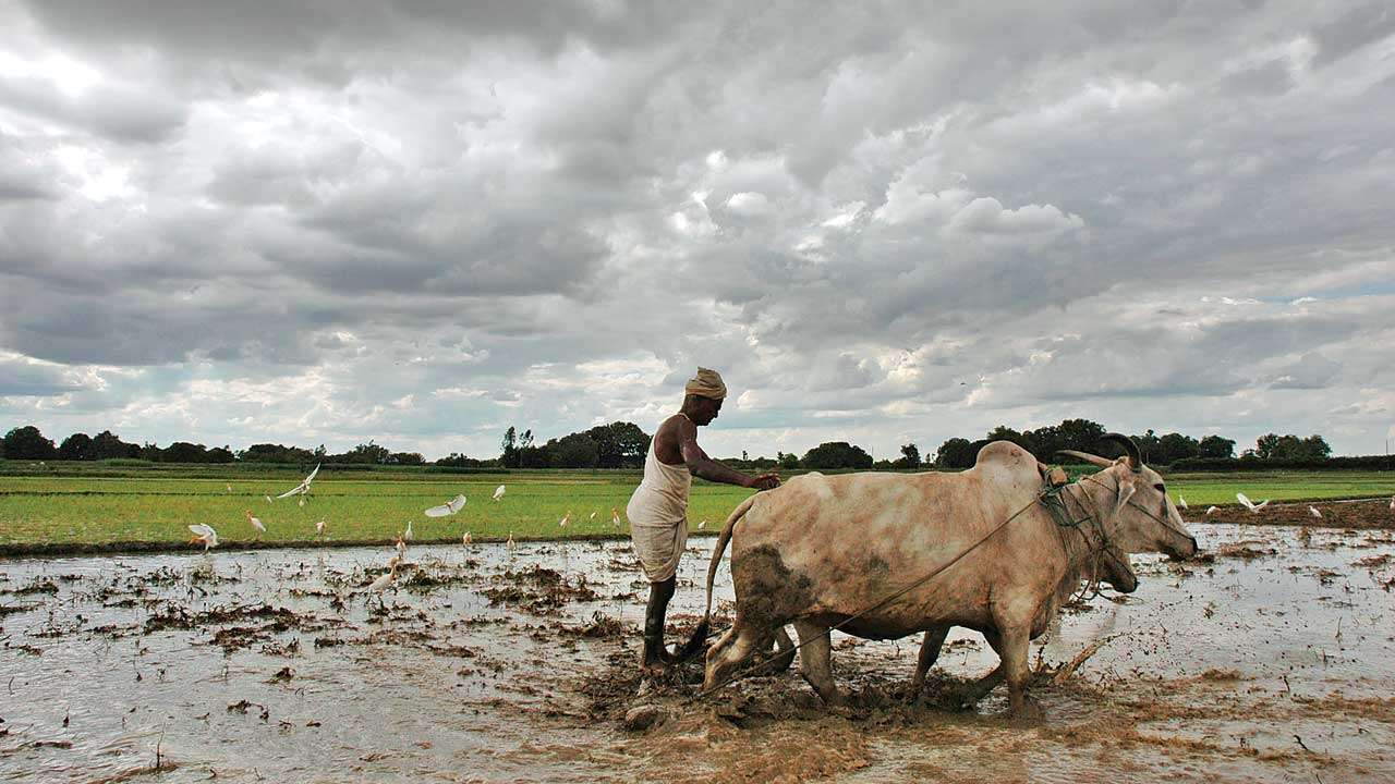 Image result for raining farmer images