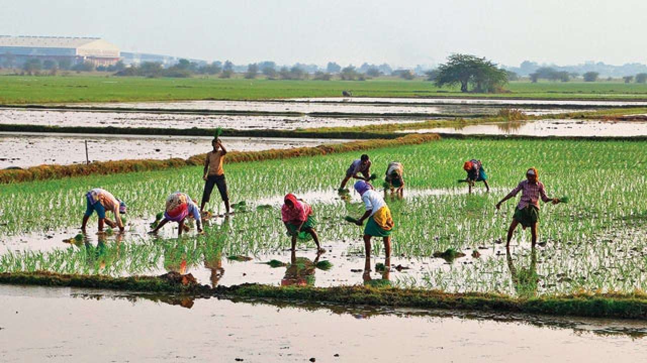 Ahead of PM Modi's Midnapore rally, farmers appeal for basic facilities