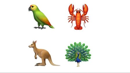 And Parrot, Lobster, Kangaroo and Peacock