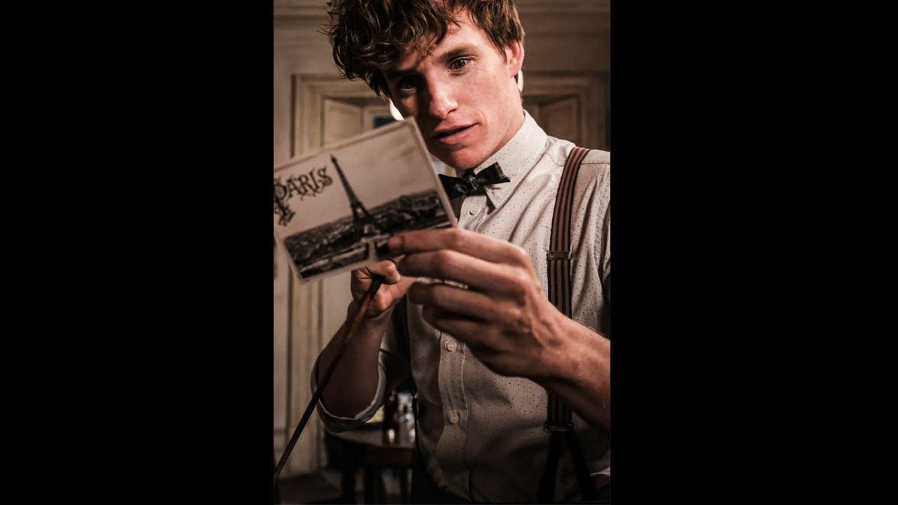 Paris calls to Newt Scamander