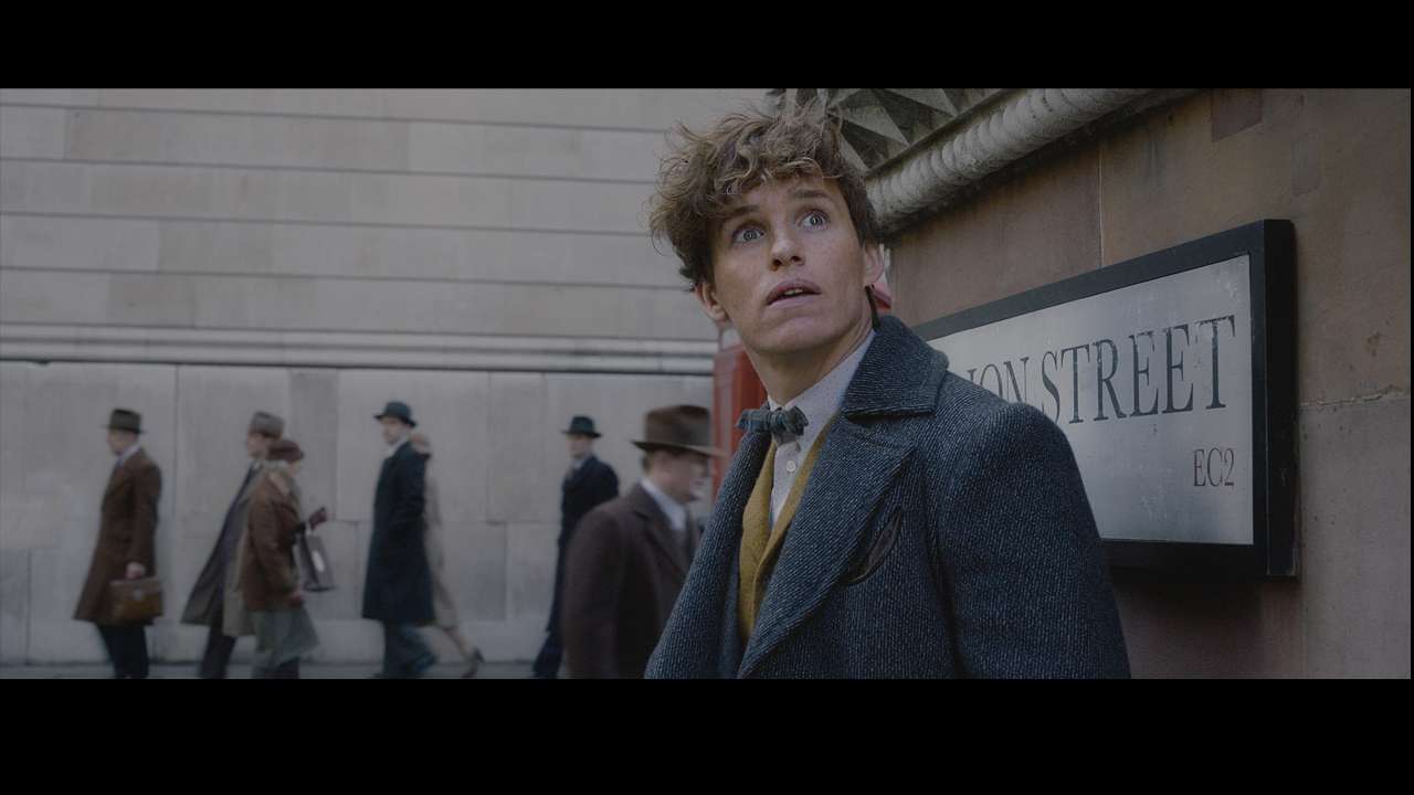 Newt Scamander on the hunt?
