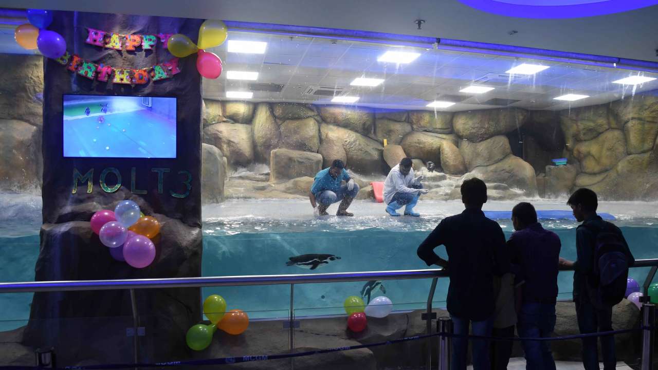 Watching the fun