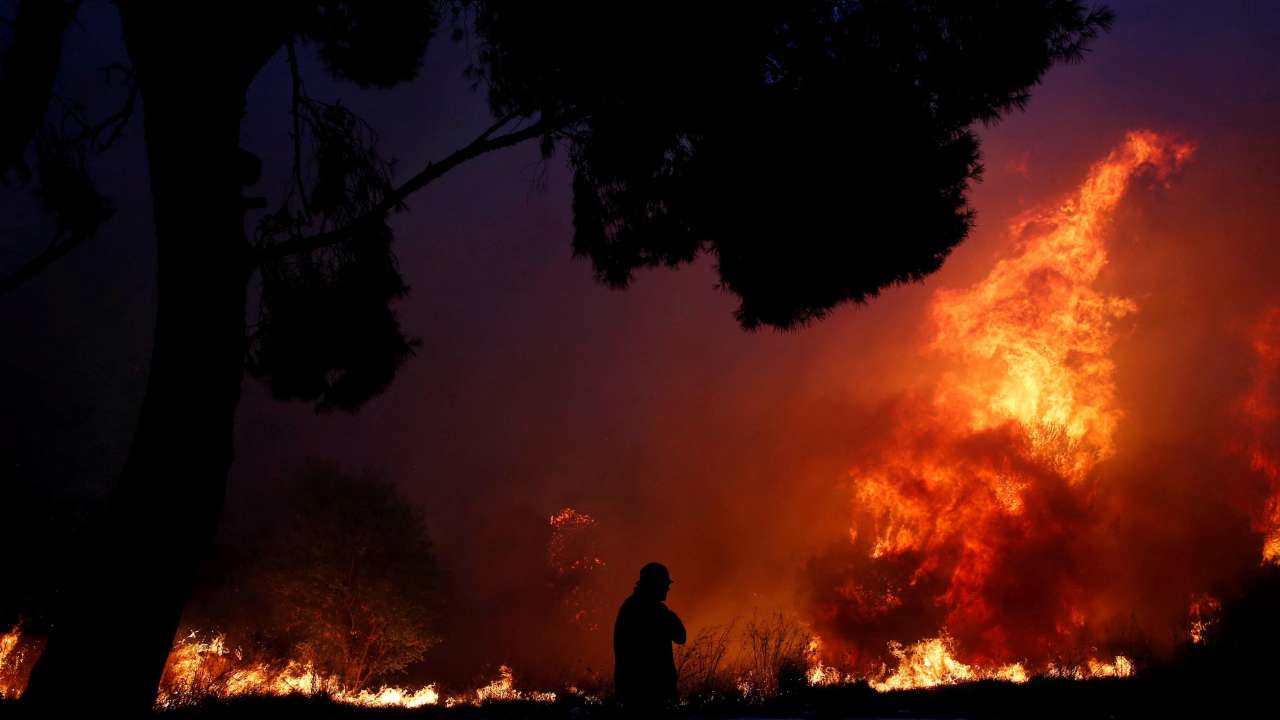 In Pics: Gutted cars, charred bodies on Mati streets as wildfires spread terror in Greek city