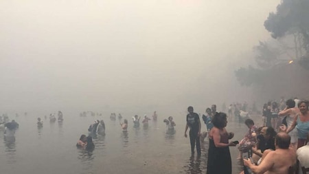 People rushed to sea to escape the wildfire