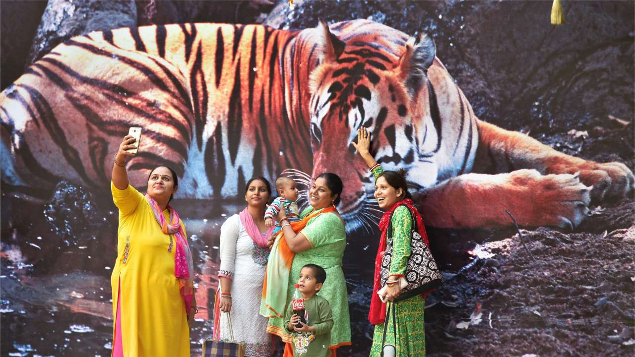 People take selfie with a billboard of tiger