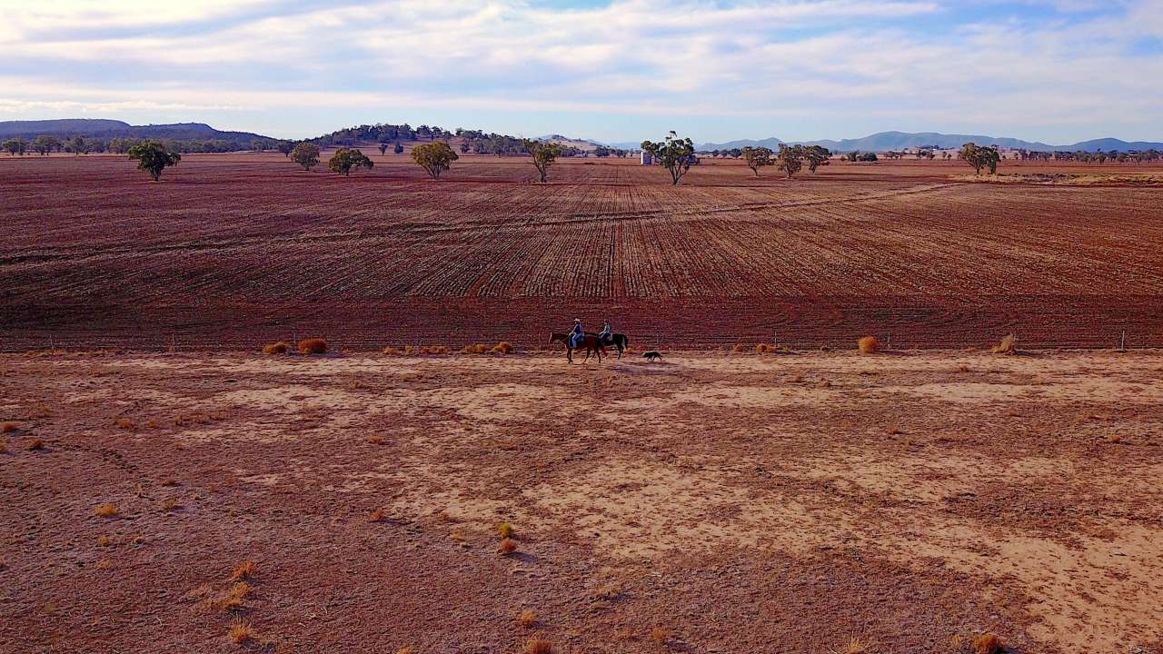 Distressed farmers have made little income and are facing heavy financial crisis