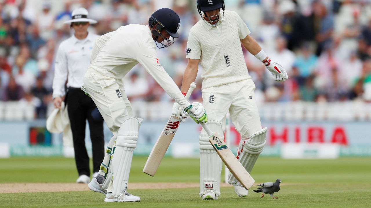 Pigeon pauses play during Edgbaston test