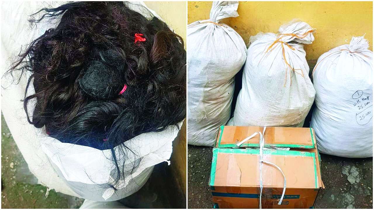 Two robbers arrested by Delhi Police, 118-kg hair wig recovered Two robbers arrested by Delhi Police, 118-kg hair wig recovered