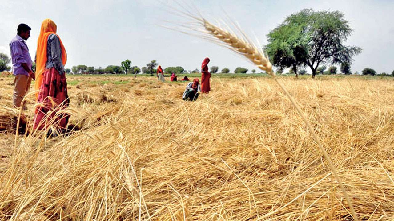 PM Narendra Modi’s insurance scheme for farmers sees poor response in ...