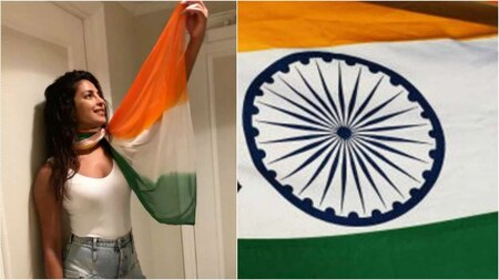 Priyanka Chopra urges us to celebrate our differences this Independence Day