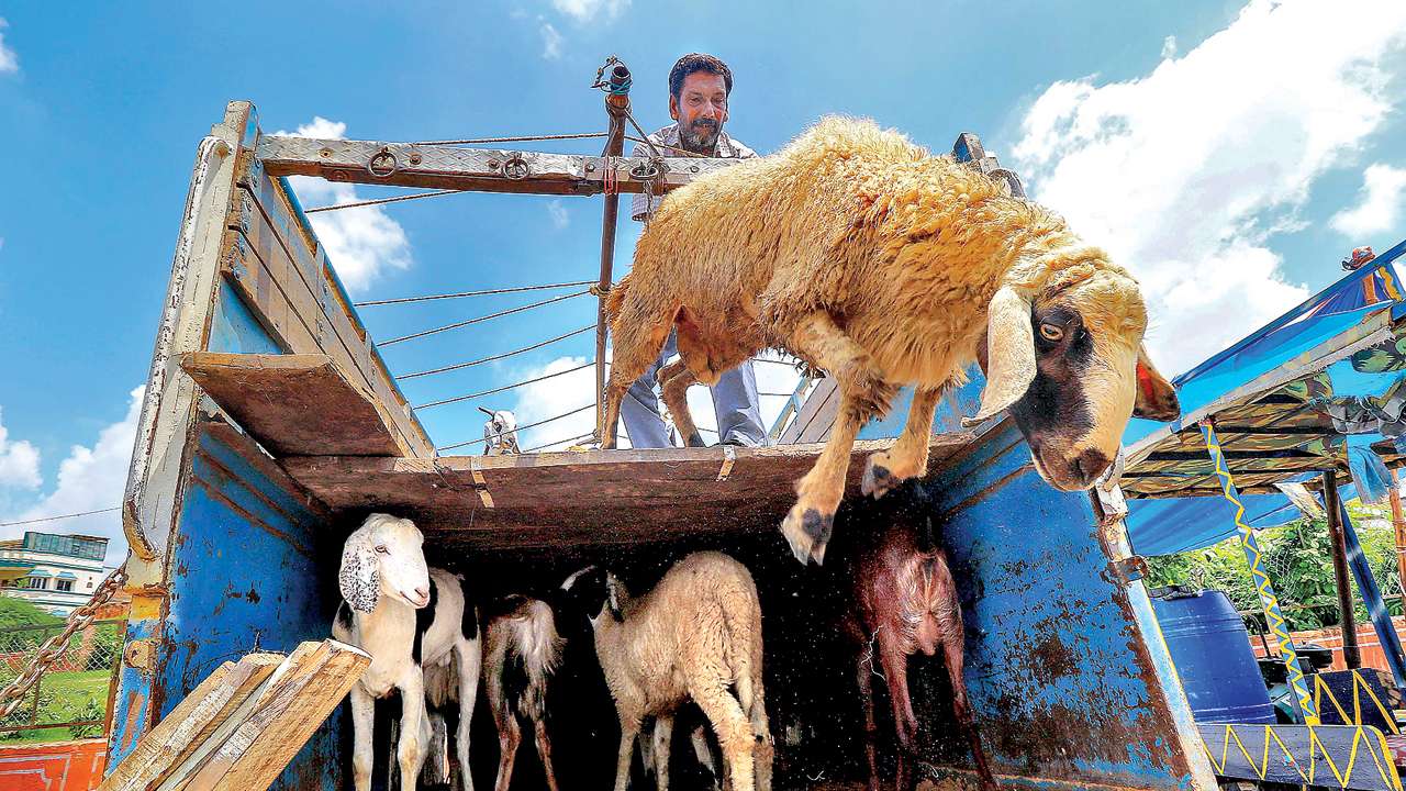 Yogi adityanath govt's diktat for eid: no sacrifices in public, no blood or offal in drains