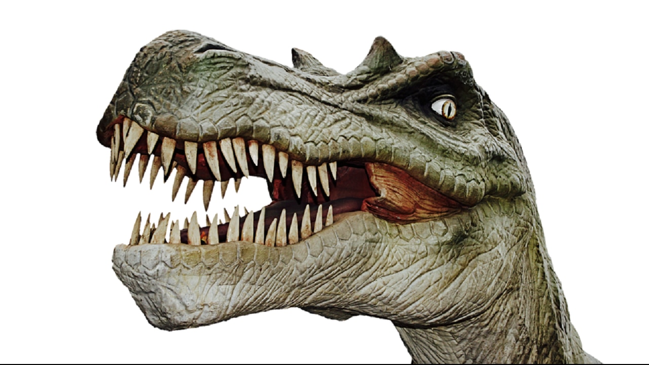 dna analysis may decode how dinosaurs