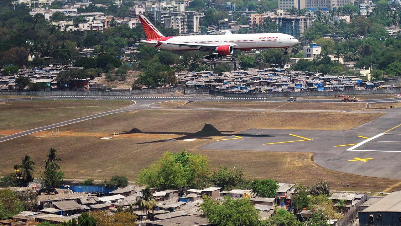 Bird-hits fly high at Mumbai airport, RTI reply reveals it's up by 21% ...