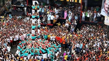 Dahi handi