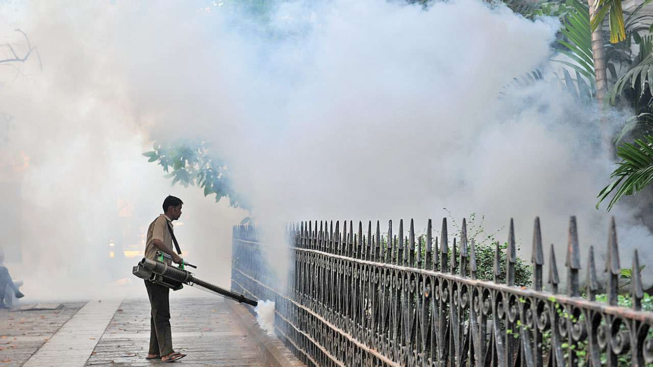 Rise in malaria, dengue cases in Mumbai