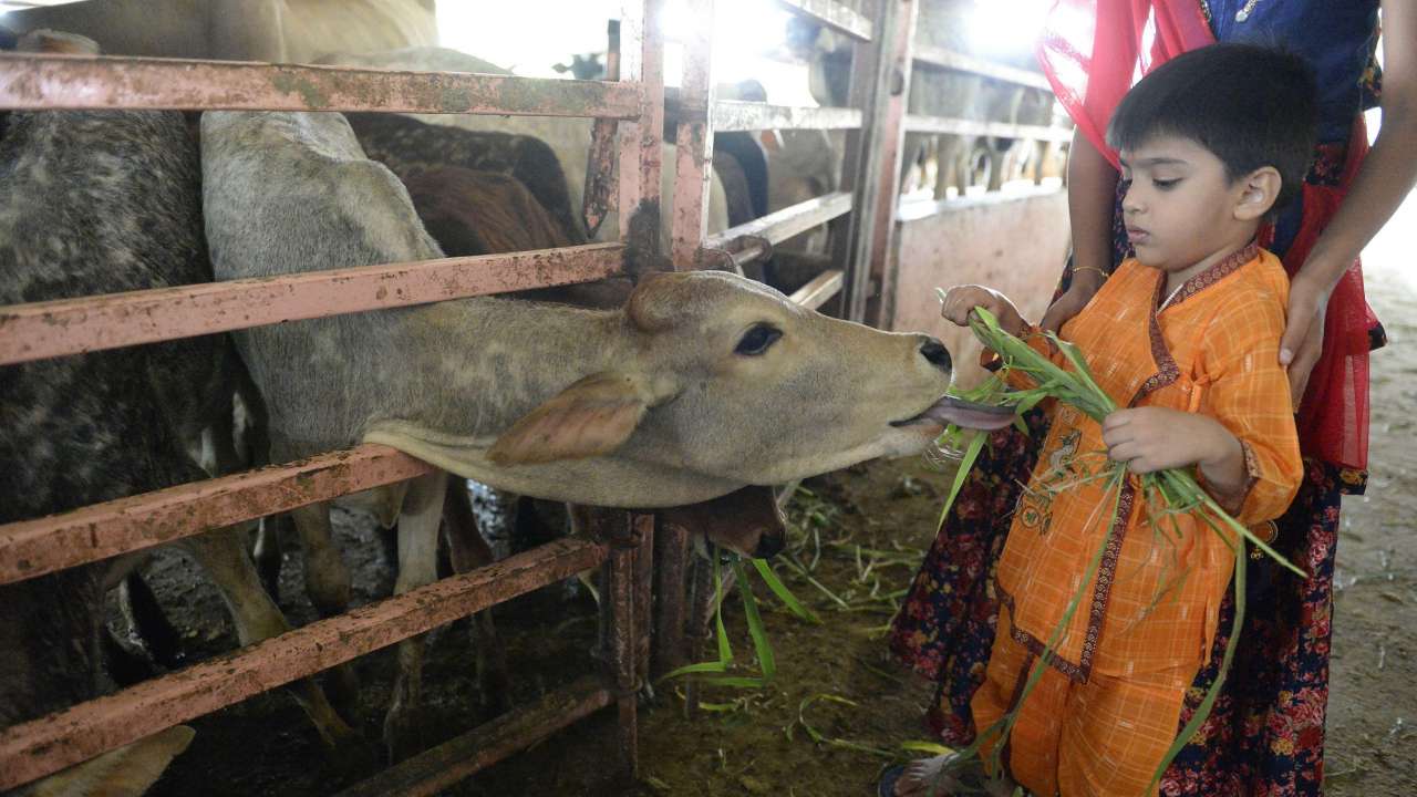 Hyderabad
