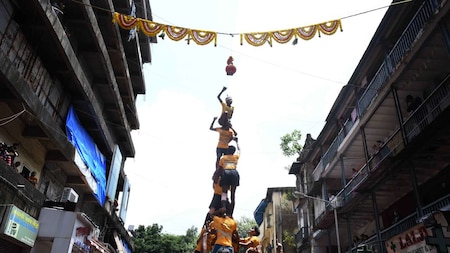 Dahi Handi festivities