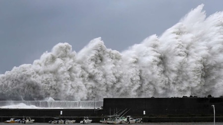 Typhoon Jebi