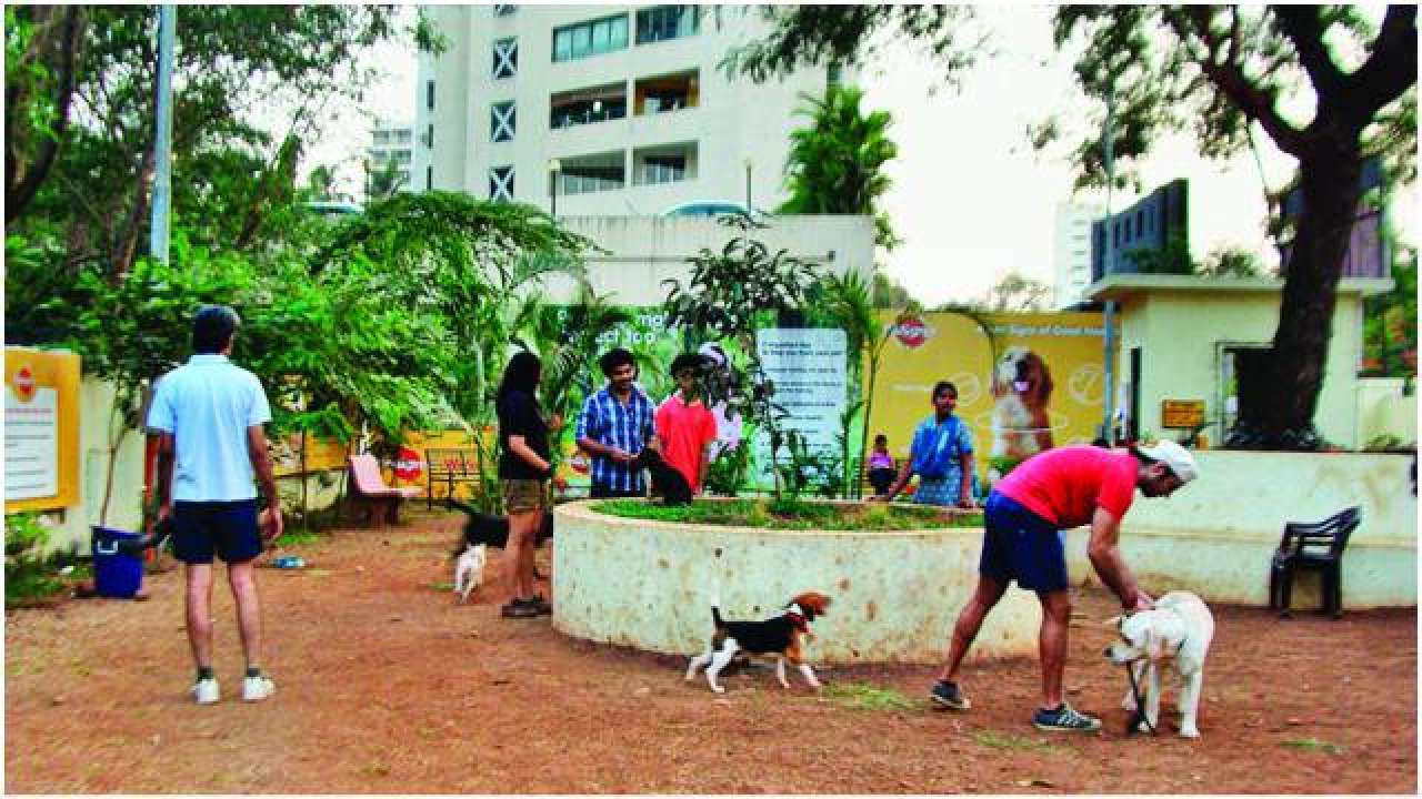 South Mumbai Dog Park In Cuffe Parade To Get Civic Nod