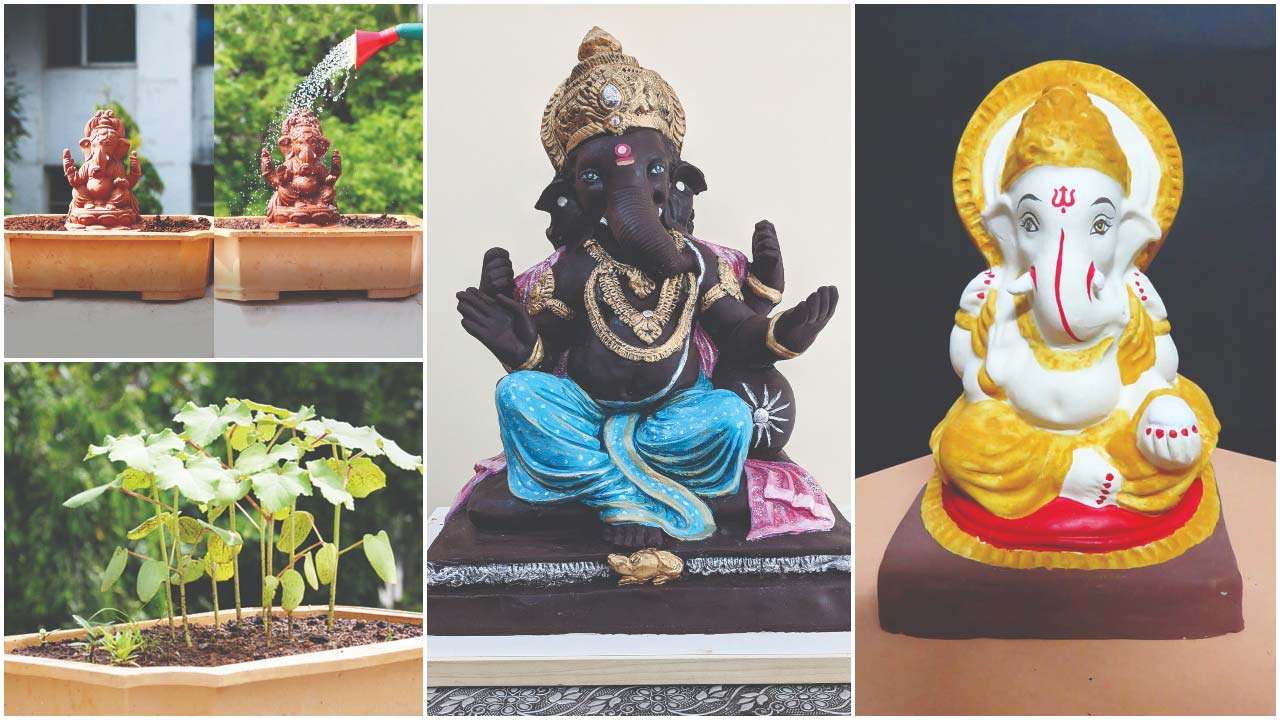From Chocolate Ganesha to Fish-friendly Ganpati: Ganesha goes greener and innovative