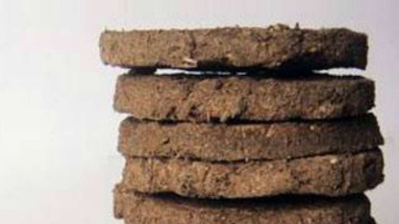 Jaipur Paper made out of cow dung launched