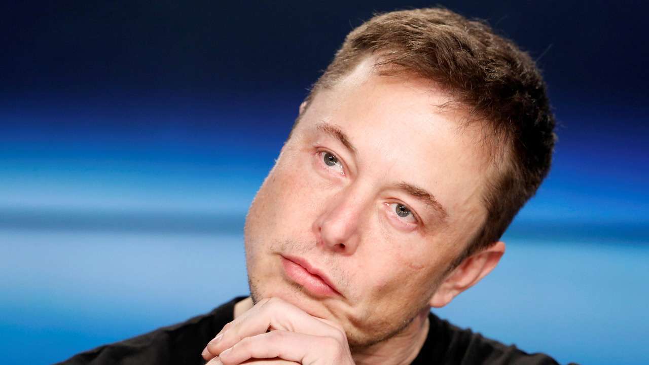 elon musk elon musk