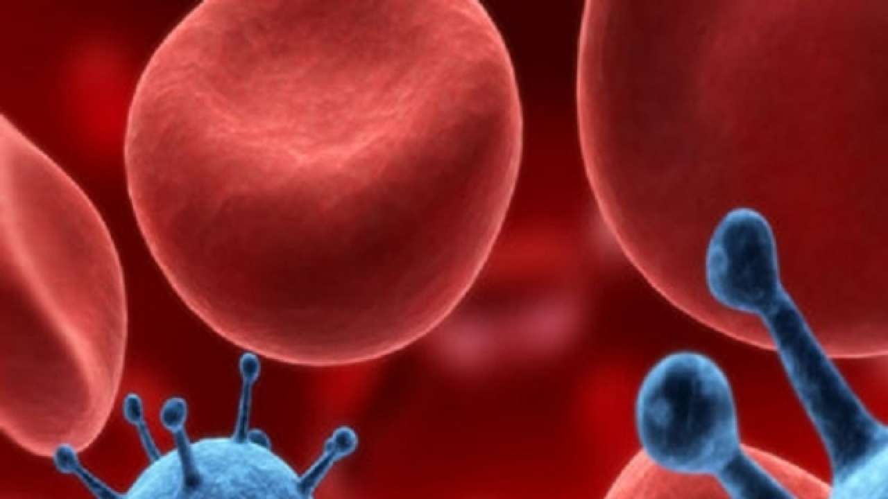 This tiny, portable device can quickly detect cancer: here's how