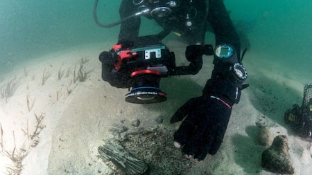 Divers discover centuries-old shipwreck