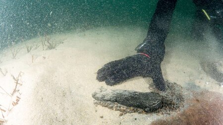 40 feet below the surface, divers found spices, nine bronze cannons