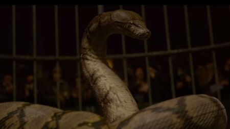 Nagini