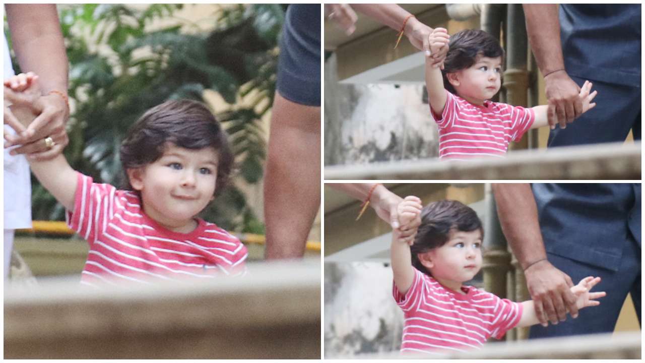 Taimur loves to play on the slides and swings