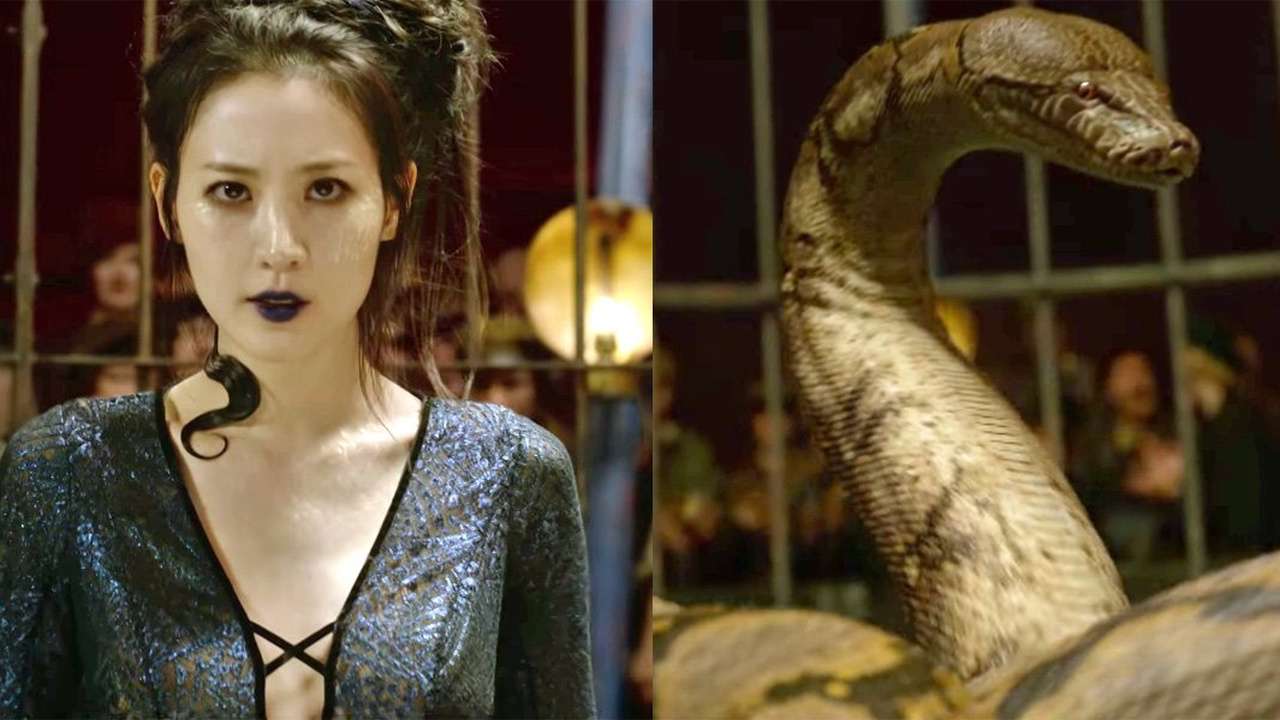 Harry Potter Characters Names and facts Of All Time   Nagini as a Notable Harry Potter Character