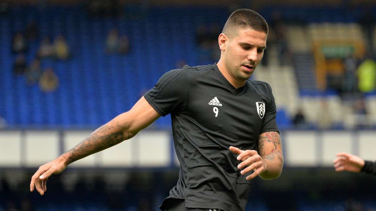 Aleksandar Mitrovic