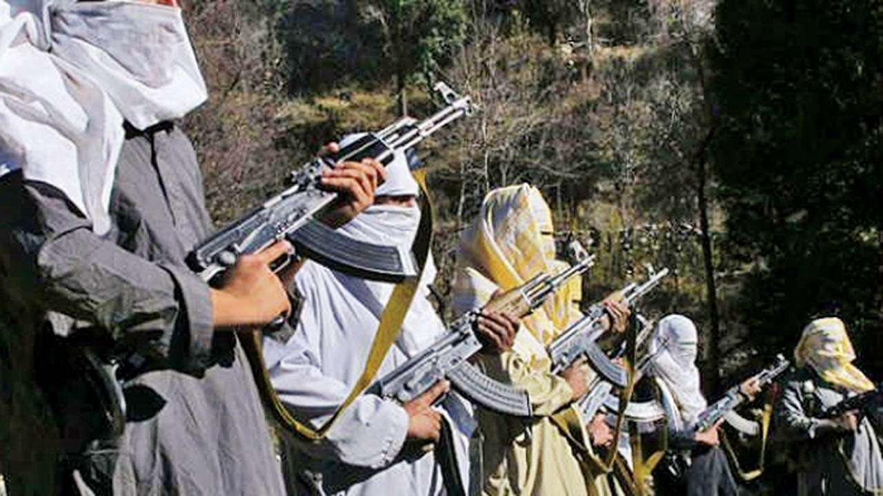 Terrorists Terrorists