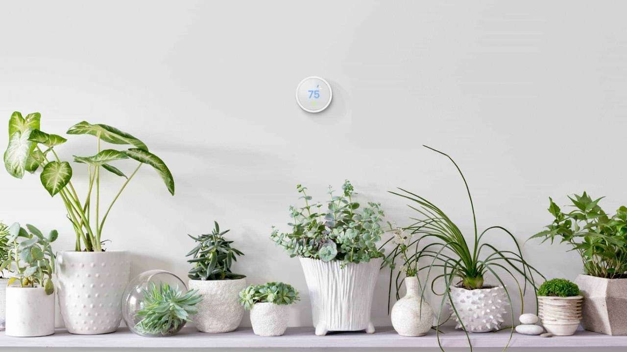 Nest Nest