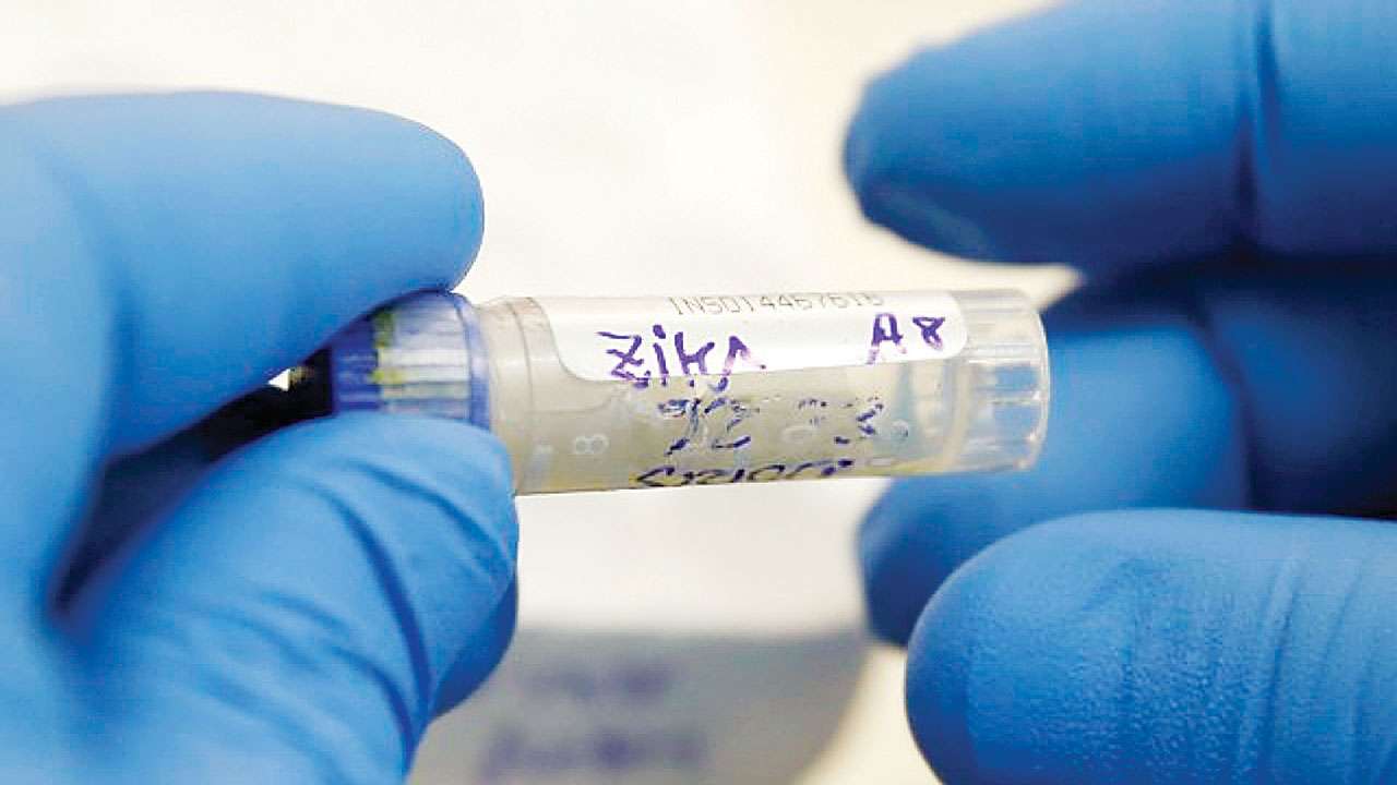 Zika virus