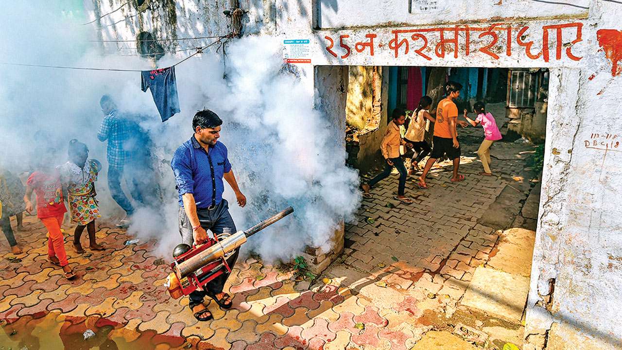 Delhi: Spike in dengue cases, 53 cases reported in a week