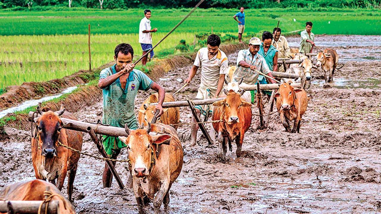 Indian farmers get help from UK as London firm launches weather