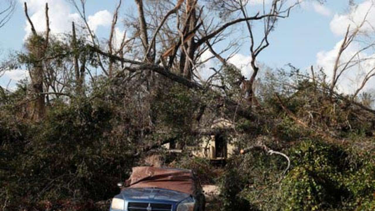 Trees toppled by Hurricane Michael surround a home in Fountain, Florida