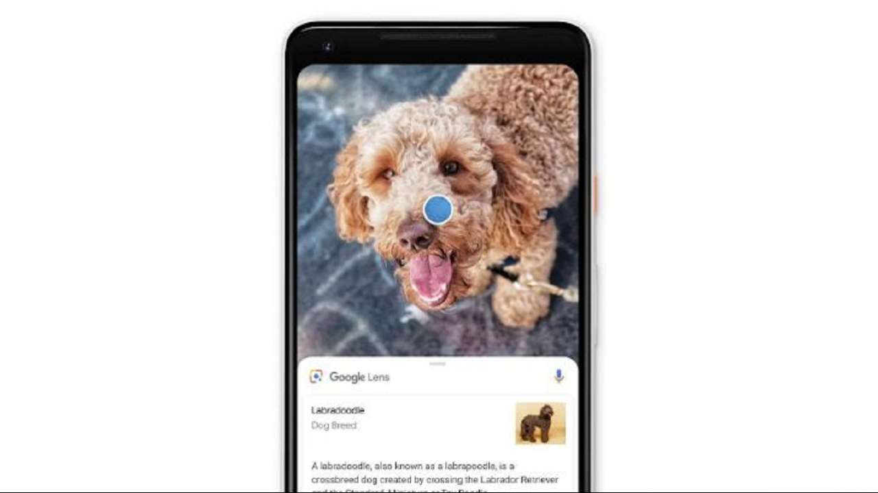 google lens search by image google lens search by image