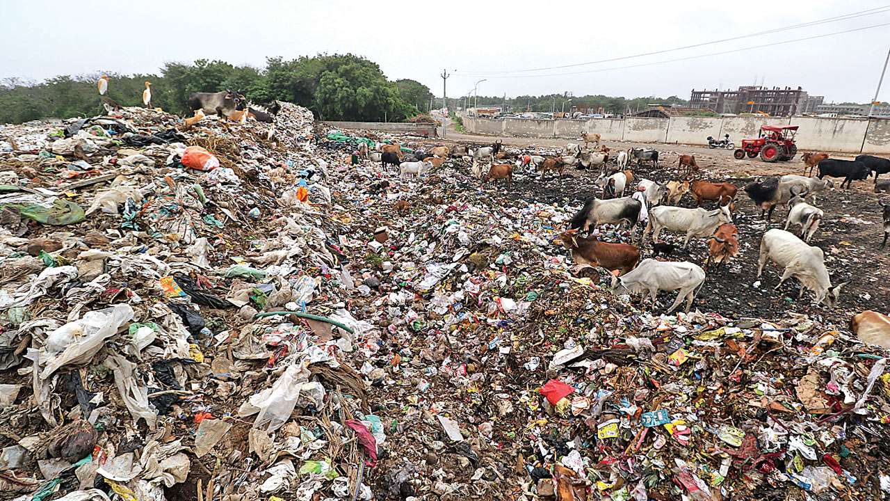 Difference Between Landfill And Dumping Ground