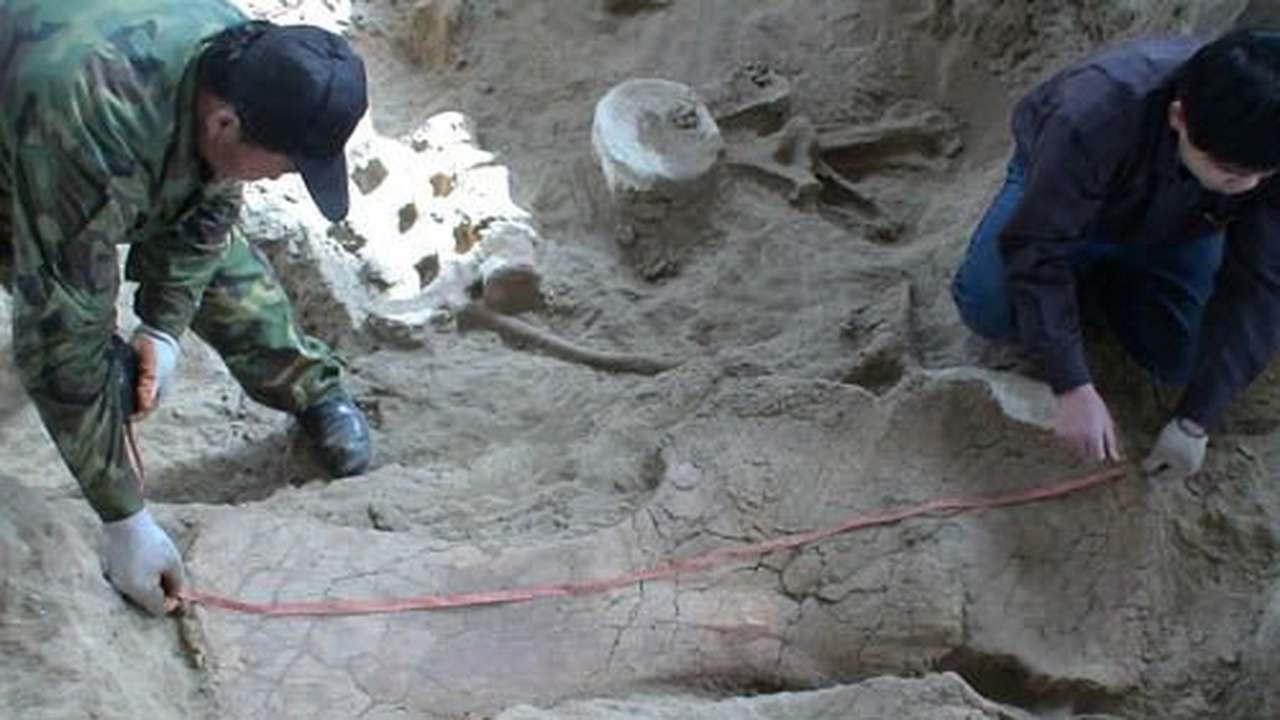 How China's building boom is helping discover new dinosaurs